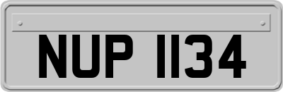 NUP1134