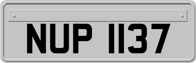 NUP1137