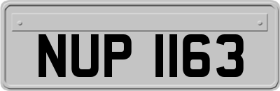 NUP1163