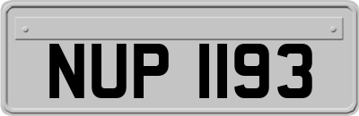 NUP1193