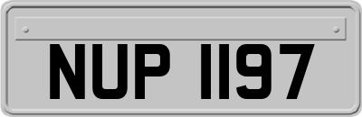 NUP1197