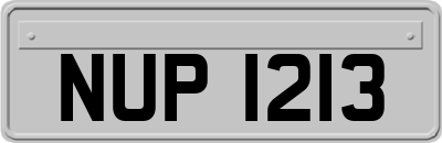 NUP1213
