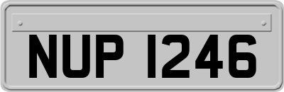 NUP1246