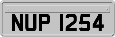 NUP1254