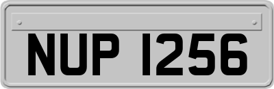 NUP1256