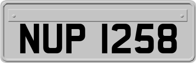 NUP1258