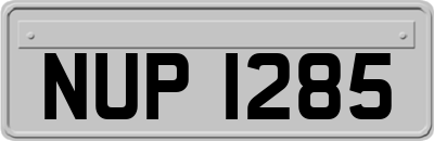 NUP1285