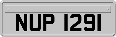NUP1291