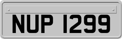 NUP1299