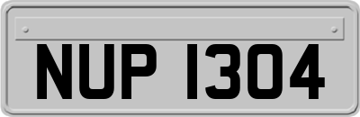 NUP1304