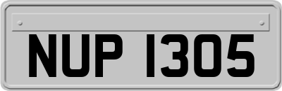 NUP1305