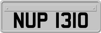 NUP1310