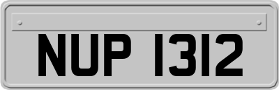 NUP1312