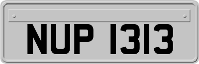 NUP1313