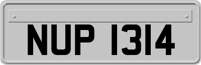 NUP1314
