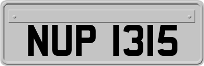 NUP1315