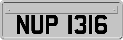 NUP1316