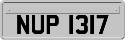 NUP1317