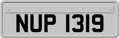 NUP1319