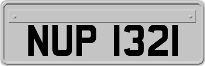 NUP1321