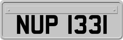 NUP1331