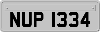 NUP1334
