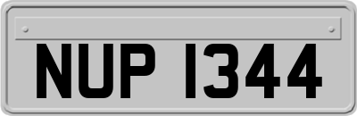 NUP1344