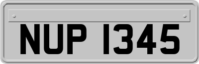 NUP1345