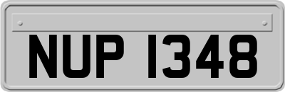 NUP1348