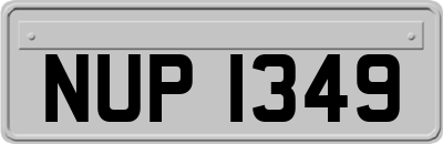 NUP1349