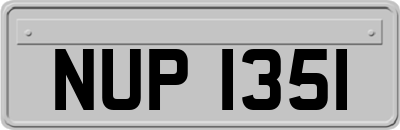 NUP1351