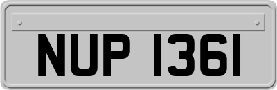 NUP1361