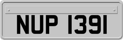 NUP1391