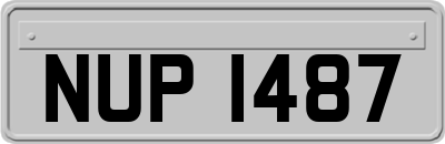 NUP1487