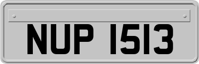 NUP1513