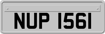NUP1561