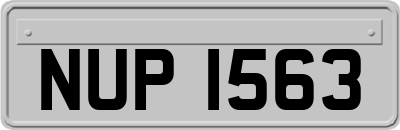 NUP1563