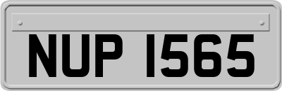 NUP1565