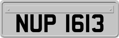 NUP1613