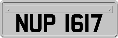 NUP1617