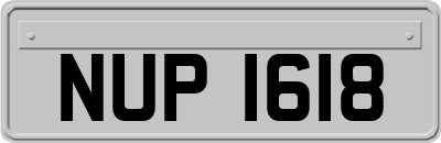 NUP1618