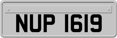NUP1619