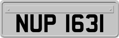 NUP1631