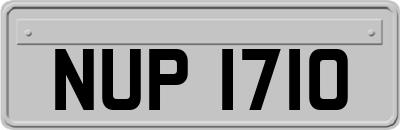 NUP1710
