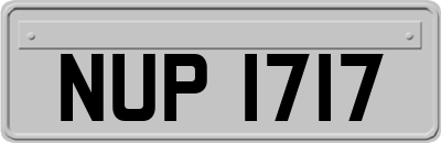 NUP1717