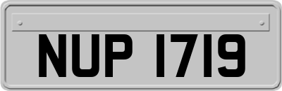 NUP1719