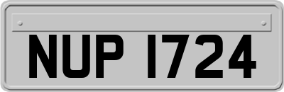 NUP1724