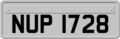 NUP1728