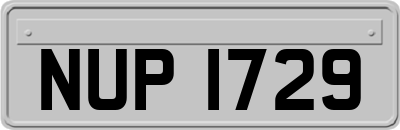 NUP1729