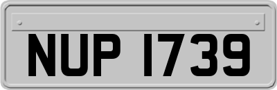 NUP1739